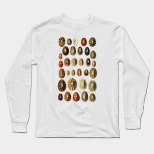 Limpet Shells Vintage Antique Scientific Natural History Illustration Long Sleeve T-Shirt